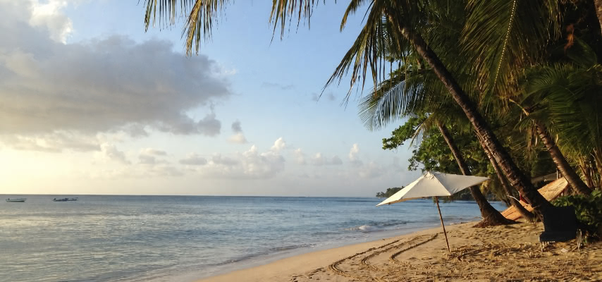 Palm-lined sand and calm water at Alleynes Bay, one of the best beaches in Barbados for a full day out