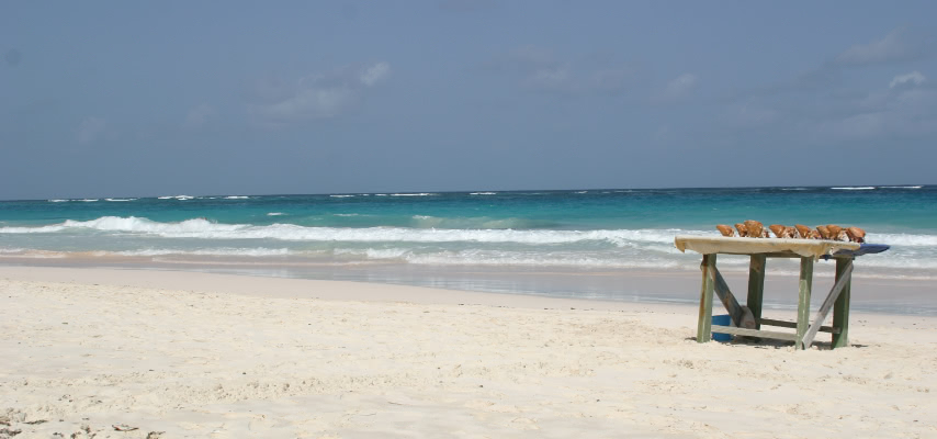 The cliff, pink-tinged sand and Atlantic surf at Crane Beach on the south-east coast of Barbados