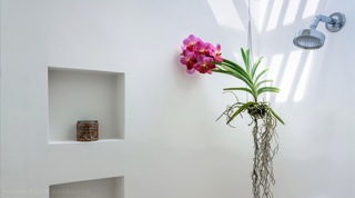 Queens Fort 5 – Honeycomb House villa in Queens Fort, Barbados