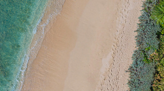 Bird's-eye view of footprints on golden sand and clear shallows on the beach near Queens Fort Pavilion, Barbados