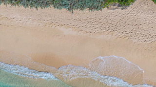 Overhead view of gentle surf and silvery coastal shrubs along the sand, a short walk from Queens Fort Pavilion, Barbados