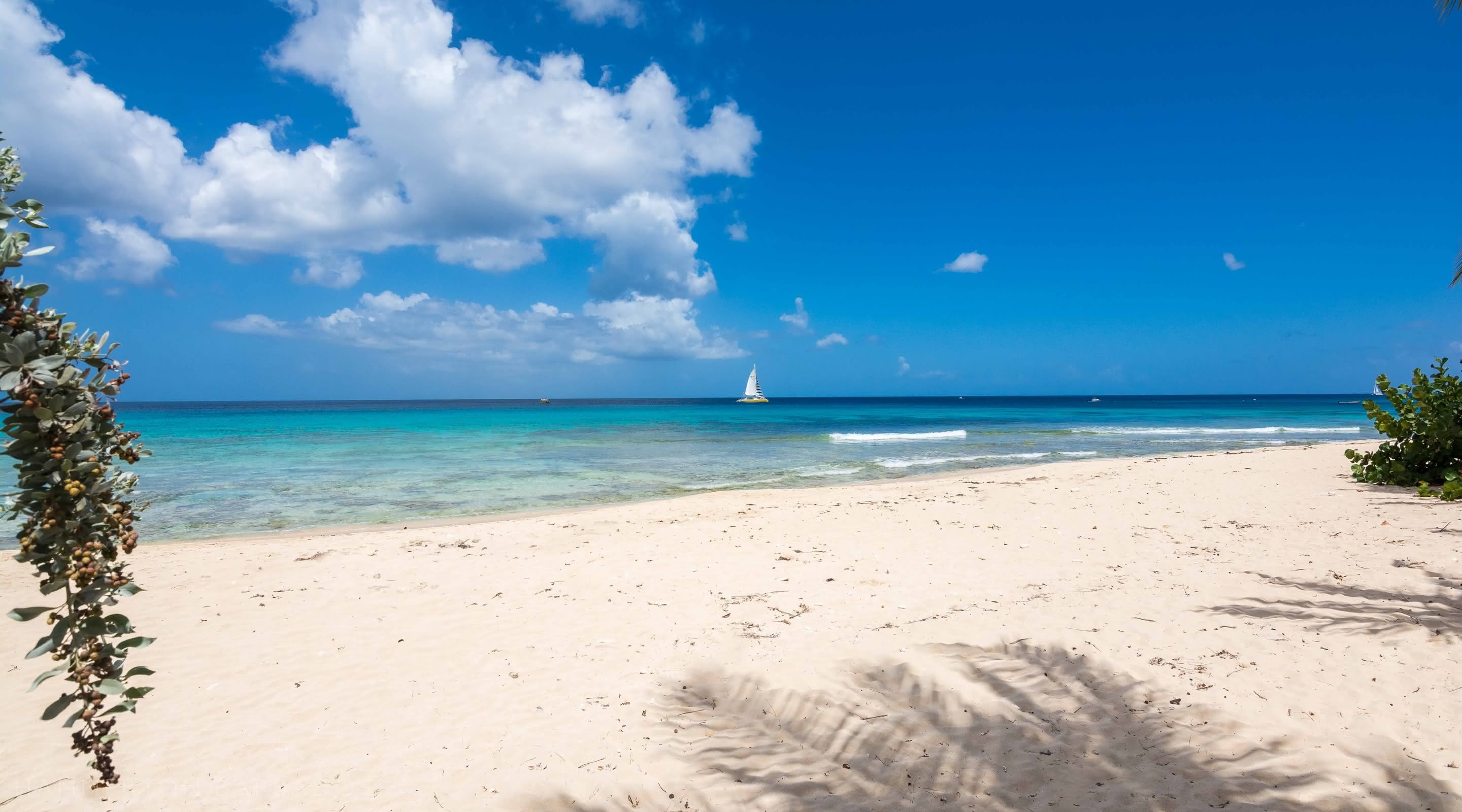 Radwood Beach House 1 Fitts Village Barbados