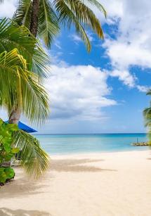 Schooner Bay 305 apartment in Speightstown, Barbados