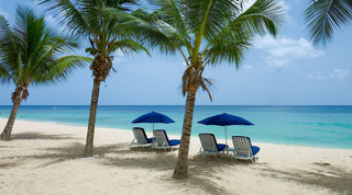 Sun loungers and blue parasols beneath palms on Paynes Bay beach, Smugglers Cove 1 Barbados