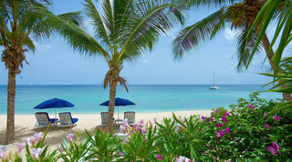Caribbean Sea framed by palms with sun loungers and blue parasols at Smugglers Cove 1, Barbados