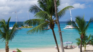 Smugglers Cove 4 apartment in Paynes Bay, Barbados