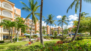 Tall coconut palms and lawns in the landscaped resort grounds of St. Peter's Bay 106, west coast of Barbados
