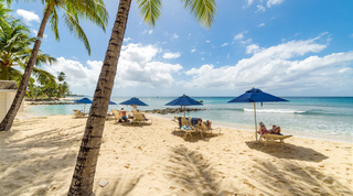 Sun loungers under navy parasols on the palm-shaded beach at St. Peter's Bay 106, beachfront apartments in Barbados