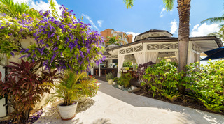 Palms and red-leaved shrubs line the way to the curtained gazebo bar at St. Peter's Bay 308, holiday apartments in Barbados