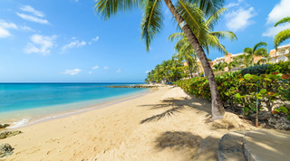 Palm shadows on golden sand curving to a rock groyne, the beach at St. Peter's Bay 308 near Speightstown, Barbados