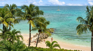 Coconut palms above a sandy cove where children play among the rocks, St. Peter's Bay 404 near Speightstown, Barbados