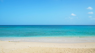 Sugar Hill A11 – Frangipani villa in Sugar Hill, Barbados