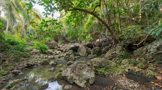Tenby villa in Bathsheba, Barbados