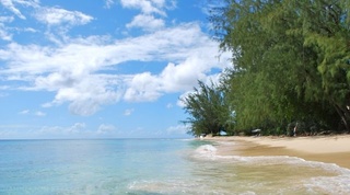 Villa Melissa villa in Queens Fort, Barbados