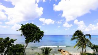 Waterside 405 Barbados video