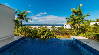 Private infinity pool framed by palms with ocean horizon, Westmoreland Hills 25, private villas in Barbados